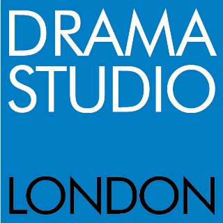 DSL resize logo